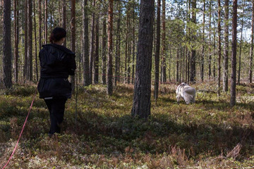 Jäljestyksen jatko