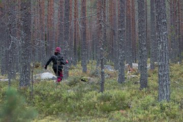 Jäljestyksen alkeet